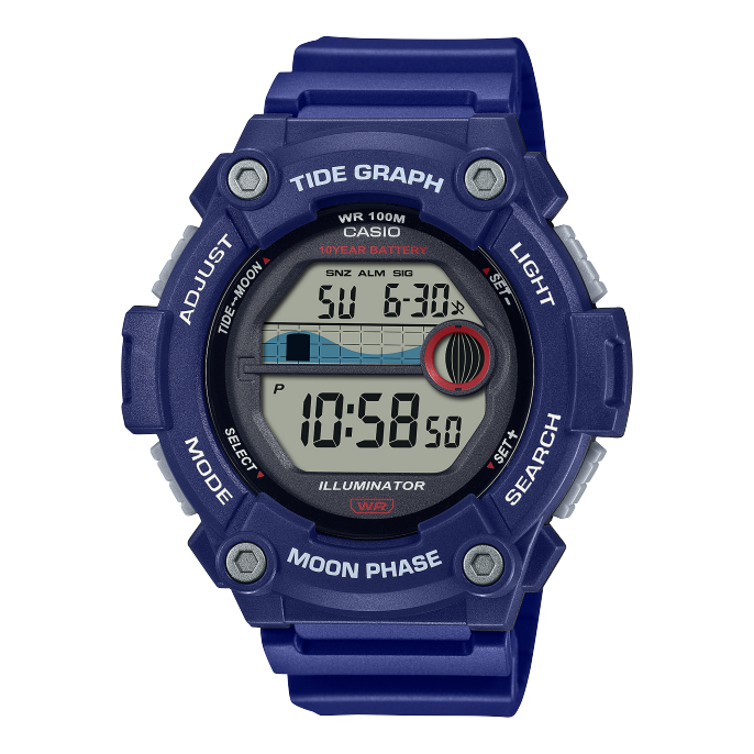 Часы мужские Casio WS-1300H-2AVEF