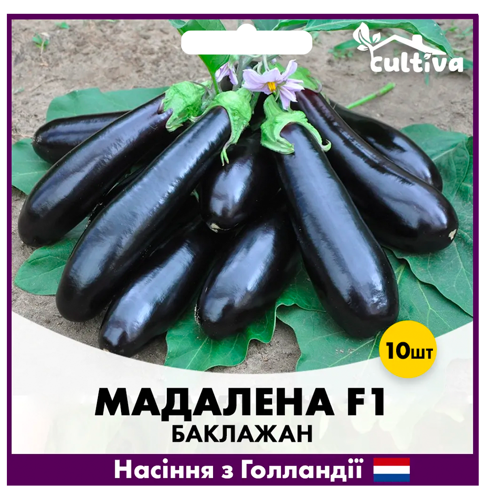 Семена баклажана Hazera Мадалена F1 10 шт. (00125)