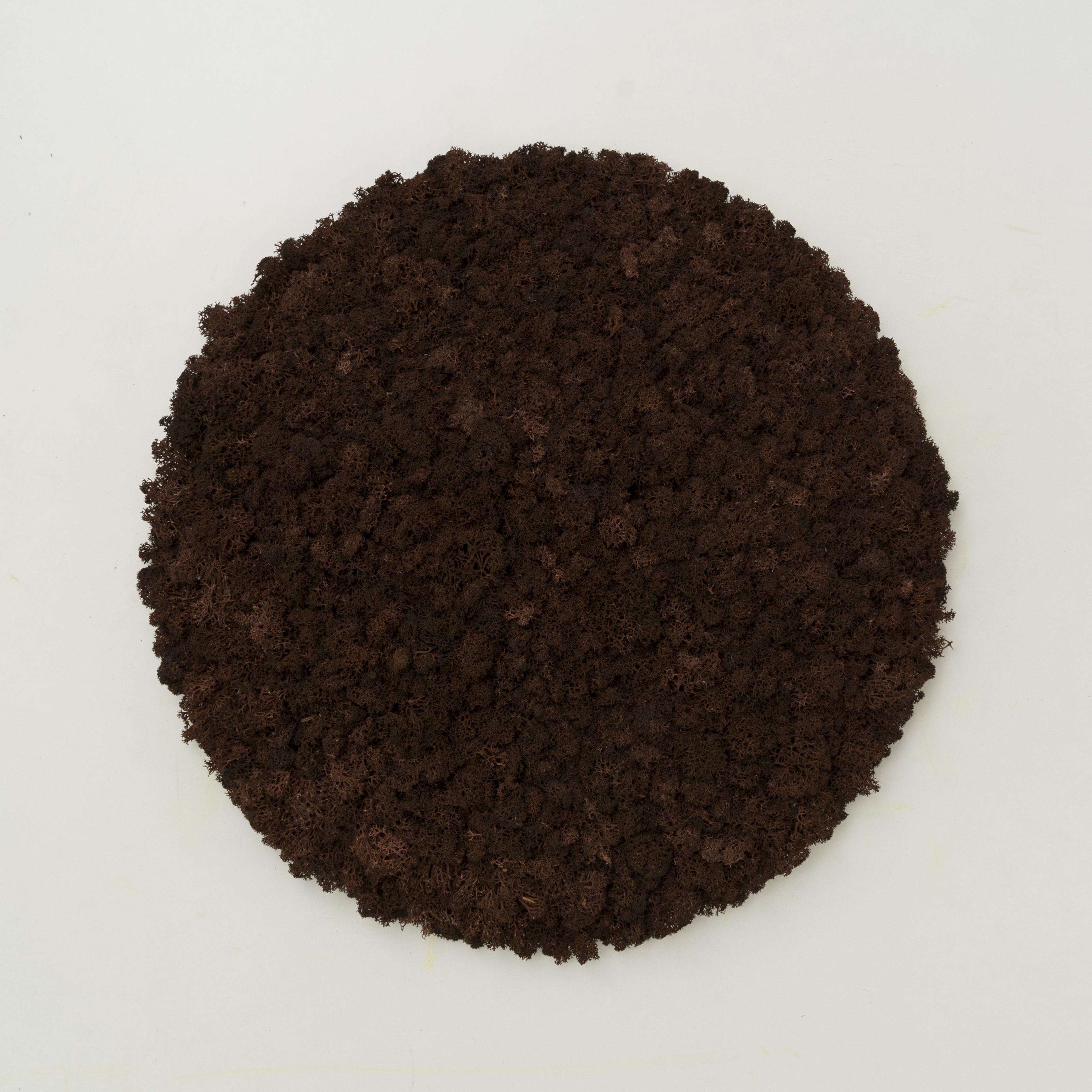 Декоративне панно з моху Organic Design d 33 см Brown (701-09)