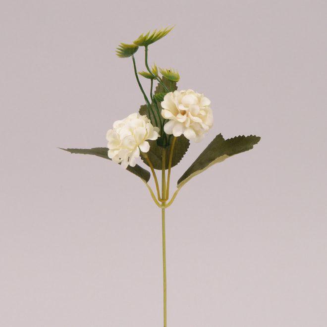Цветок Flora Бархатка 6 шт. (72481)