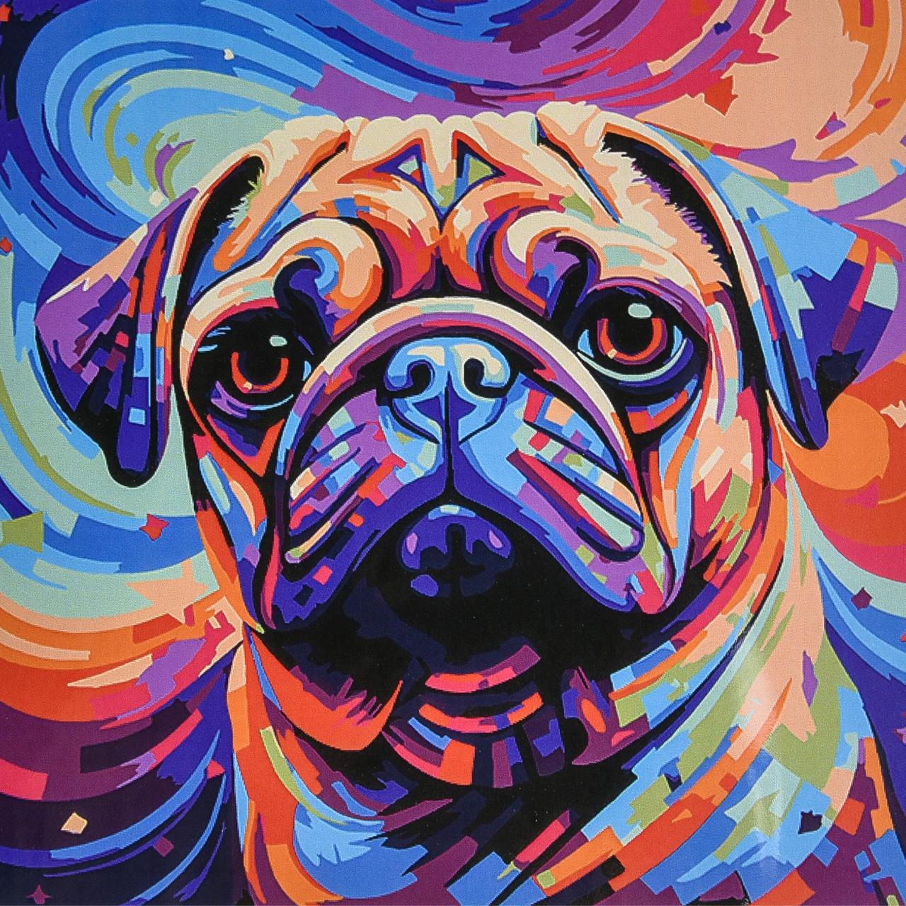 Картина по номерам Красочный друг Strateg на Черном фоне 40х40 см (HWC0039)