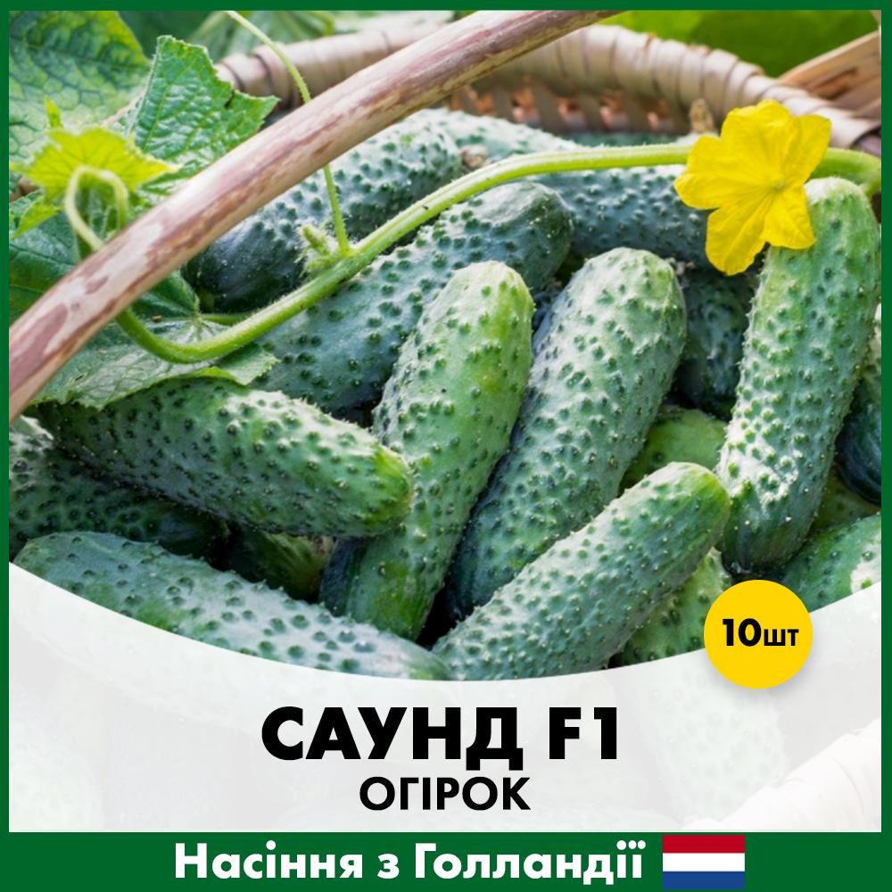 Насіння огірка Rijk Zwaan Саунд F1 10 шт. (R30321)