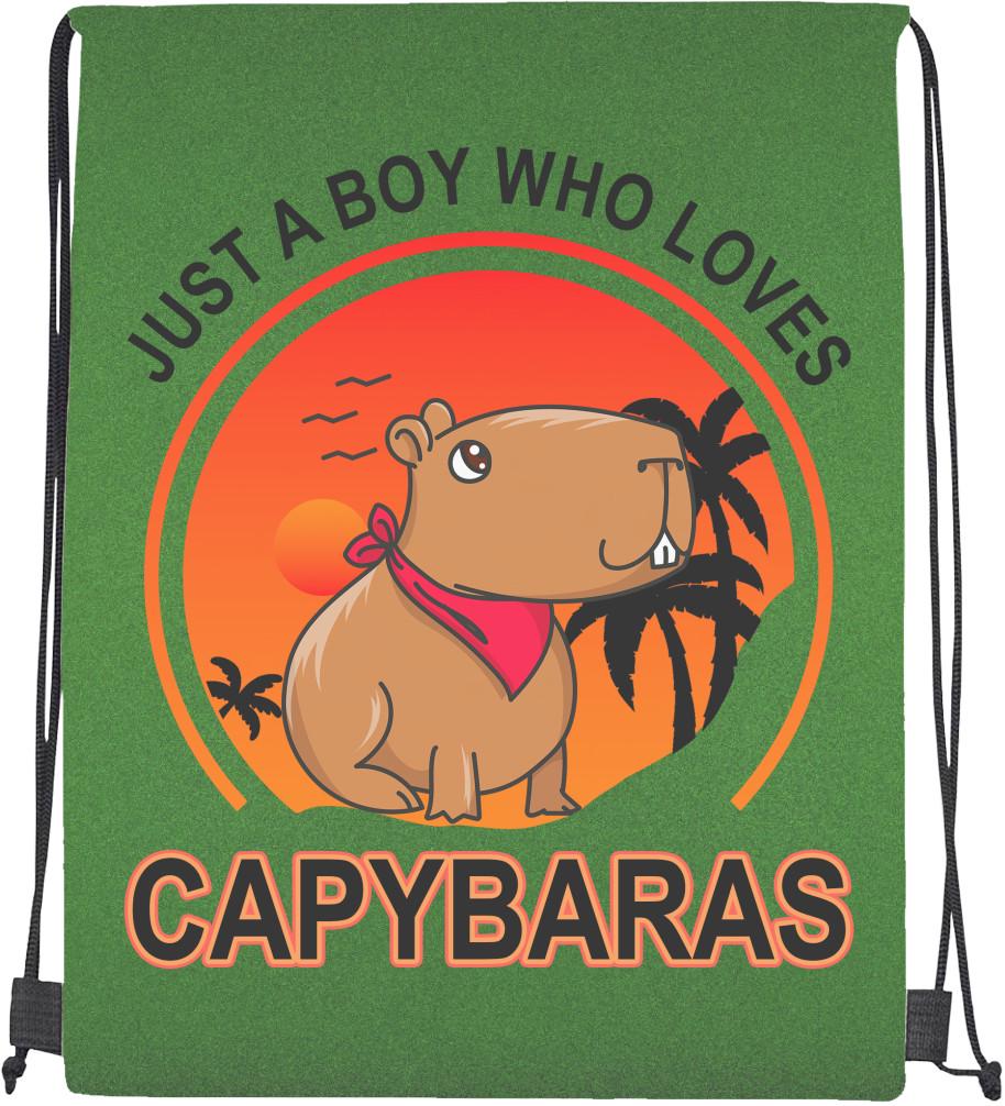 Мішок спортивний Just A Boy Who Loves Capybaras (20302037)