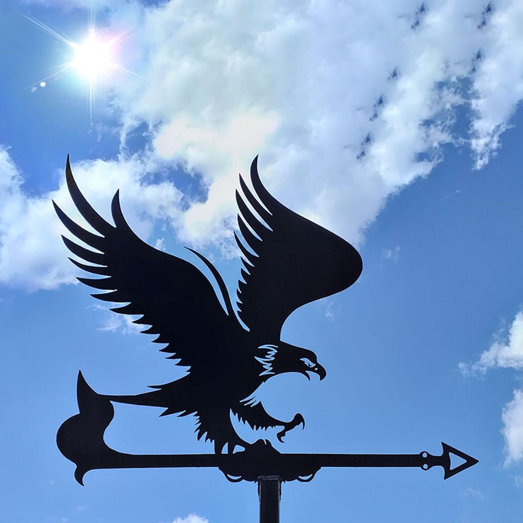 Флюгер на дом Орел (27641100)