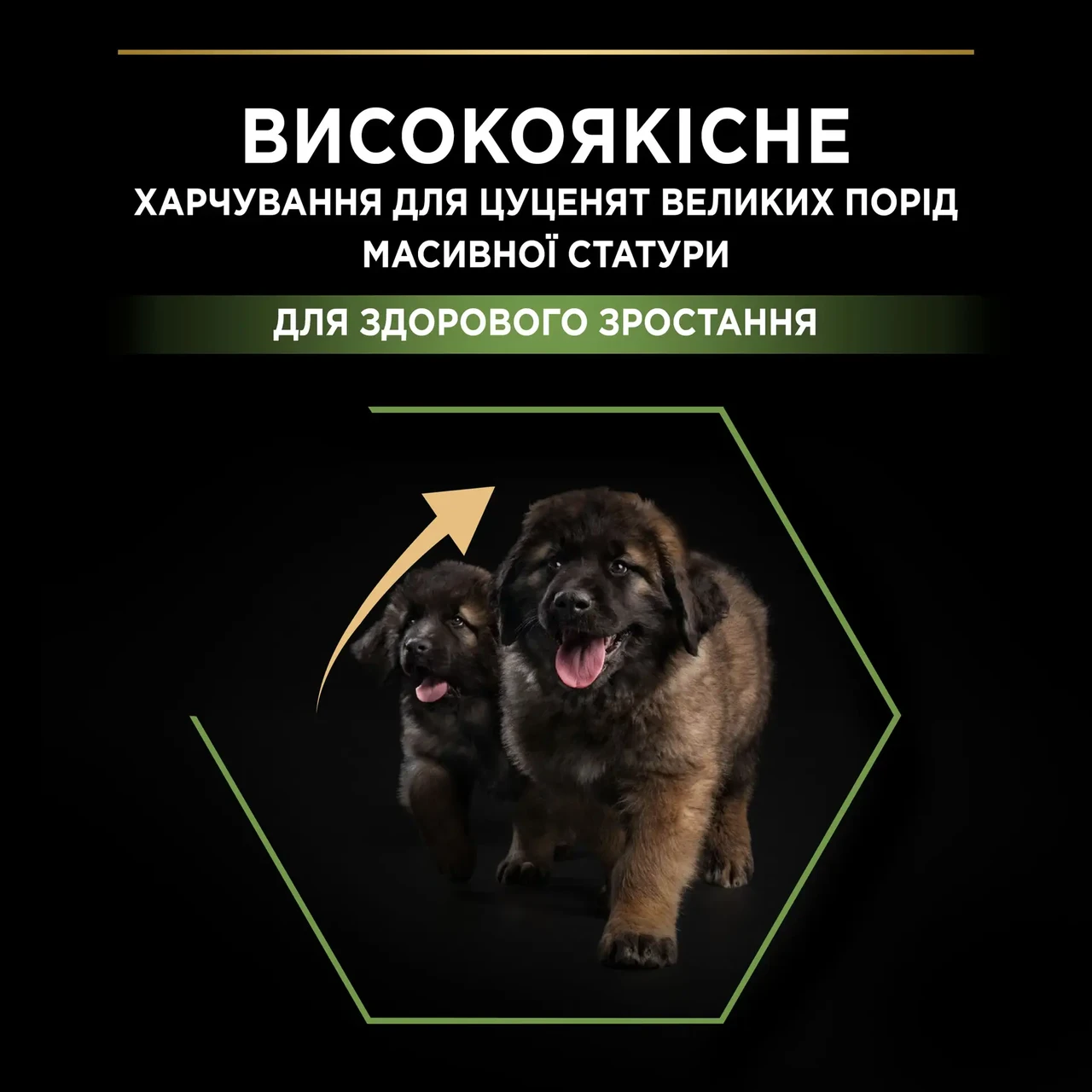 Сухой корм для щенков больших пород Pro Plan Puppy large Robust 12 кг курица - фото 5 Сухой корм для щенков больших пород Pro Plan Puppy large Robust 12 кг курица - фото 5