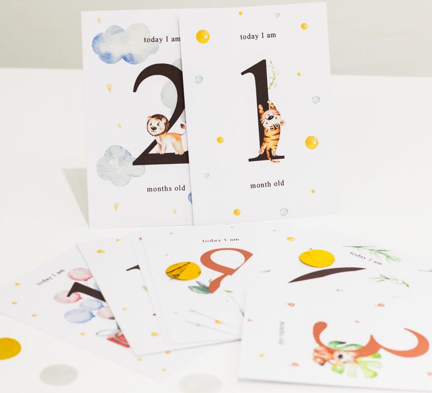 Набор детских карточек для фотоссесий Animals