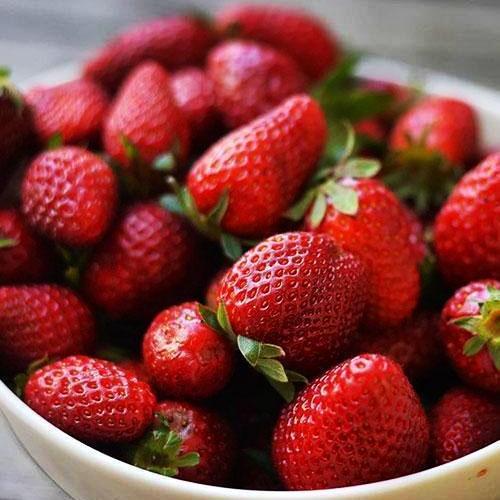 Сажанець Полуниця Венді Wendy ультраранній термін дозрівання 5 шт. (25731)