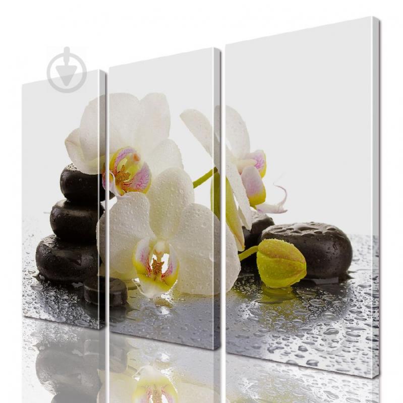 Модульная картина ArtStar цветы Орхидея ADFL0156 размер 150 х 180 см