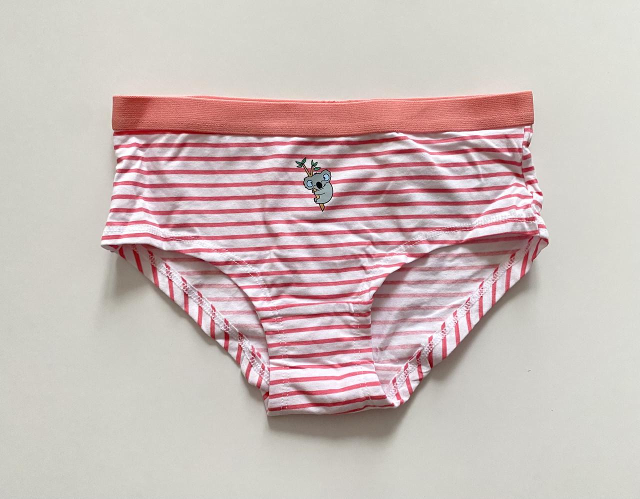Труси-плавки на дівчинку в смужку з принтом ведмедик Primark 128 см на 7-8 років Білий (2619518680)