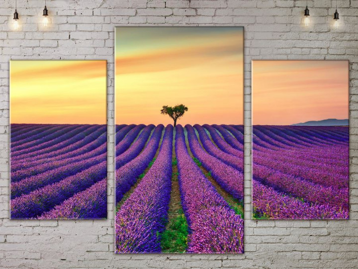 Картина модульная 3 части ArtStar 120х180 см ADNA0128