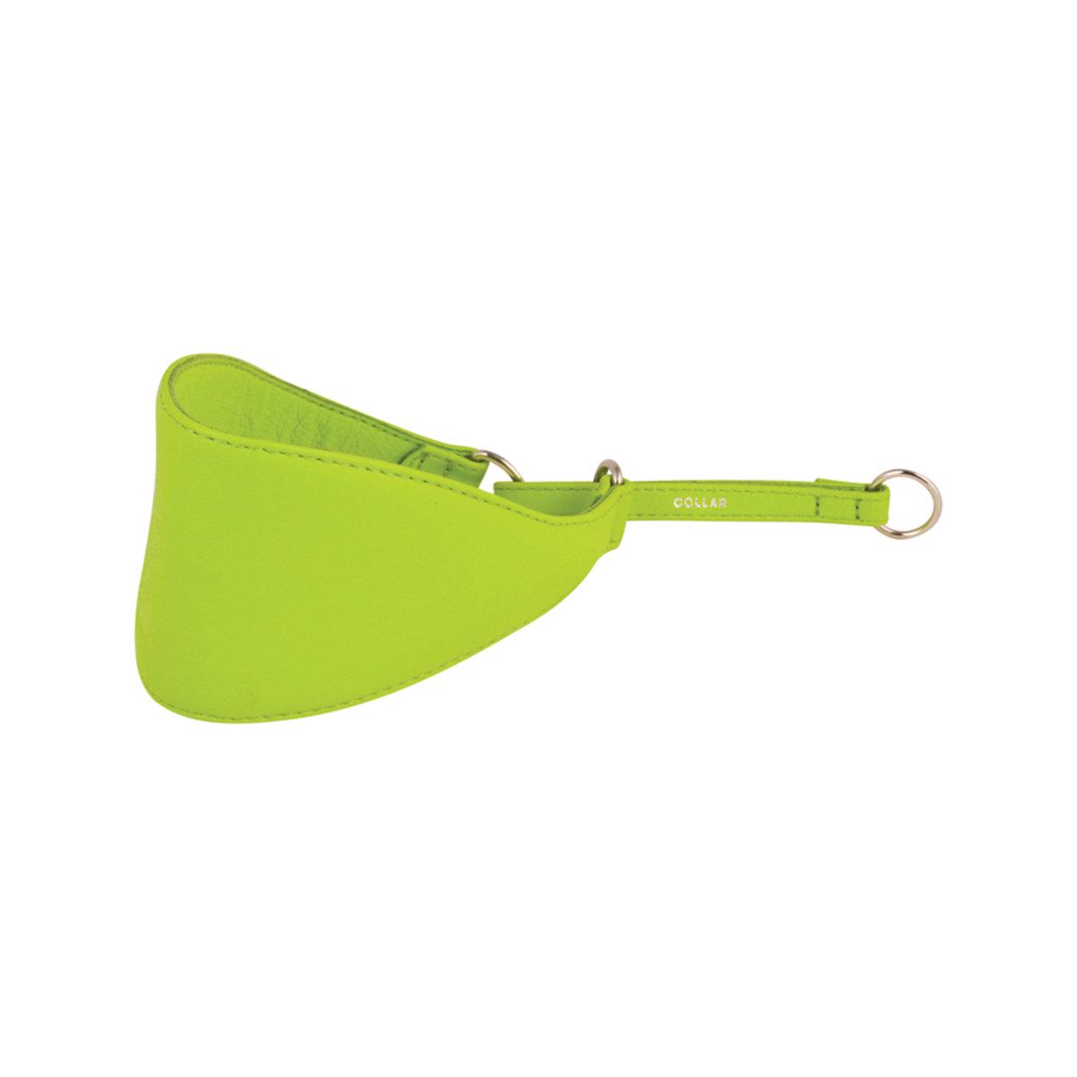 Нашийник-зашморг Collar GLAMOUR 75 мм x 38-47 см Салатовий