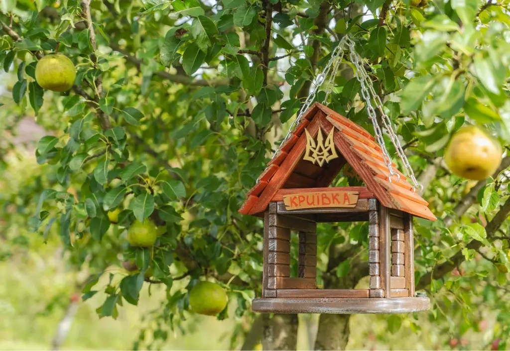 Кормушка для птиц подвесная Криевка ( КТ-004/1) - фото 5 Кормушка для птиц подвесная Криевка ( КТ-004/1) - фото 5