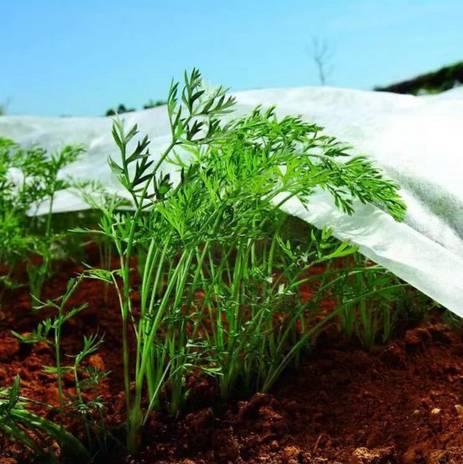 Агроволокно укрывное Love&Home 23 г/м2 1,6х10 м в пакетах (2AG23_1610) - фото 8 Агроволокно укрывное Love&Home 23 г/м2 1,6х10 м в пакетах (2AG23_1610) - фото 8