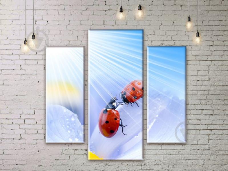 Модульная картина ArtStar ADNA0188 размер 150 х 180 см