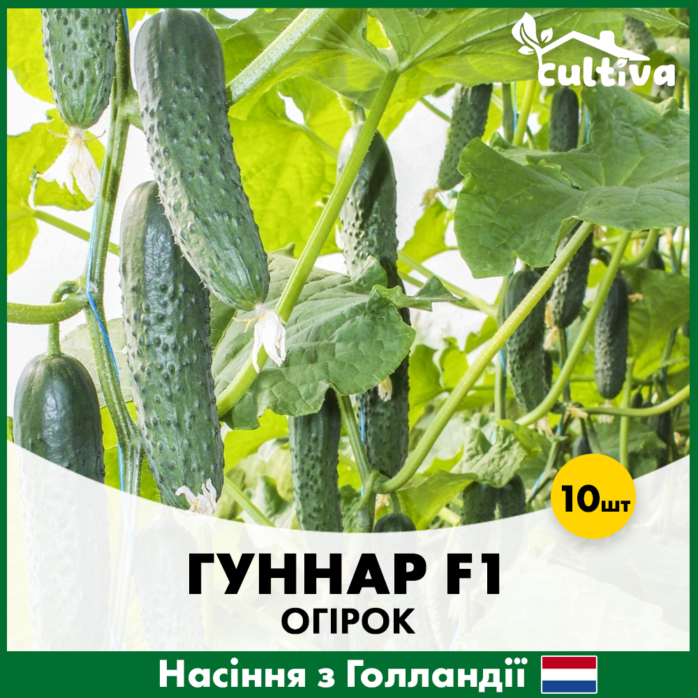 Семена огурца Enza Zaden Гуннар F1 10 шт. (431)