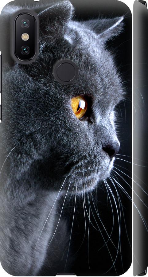 Чехол на Xiaomi Mi A2 Красивый кот (3038m-1481-42517)