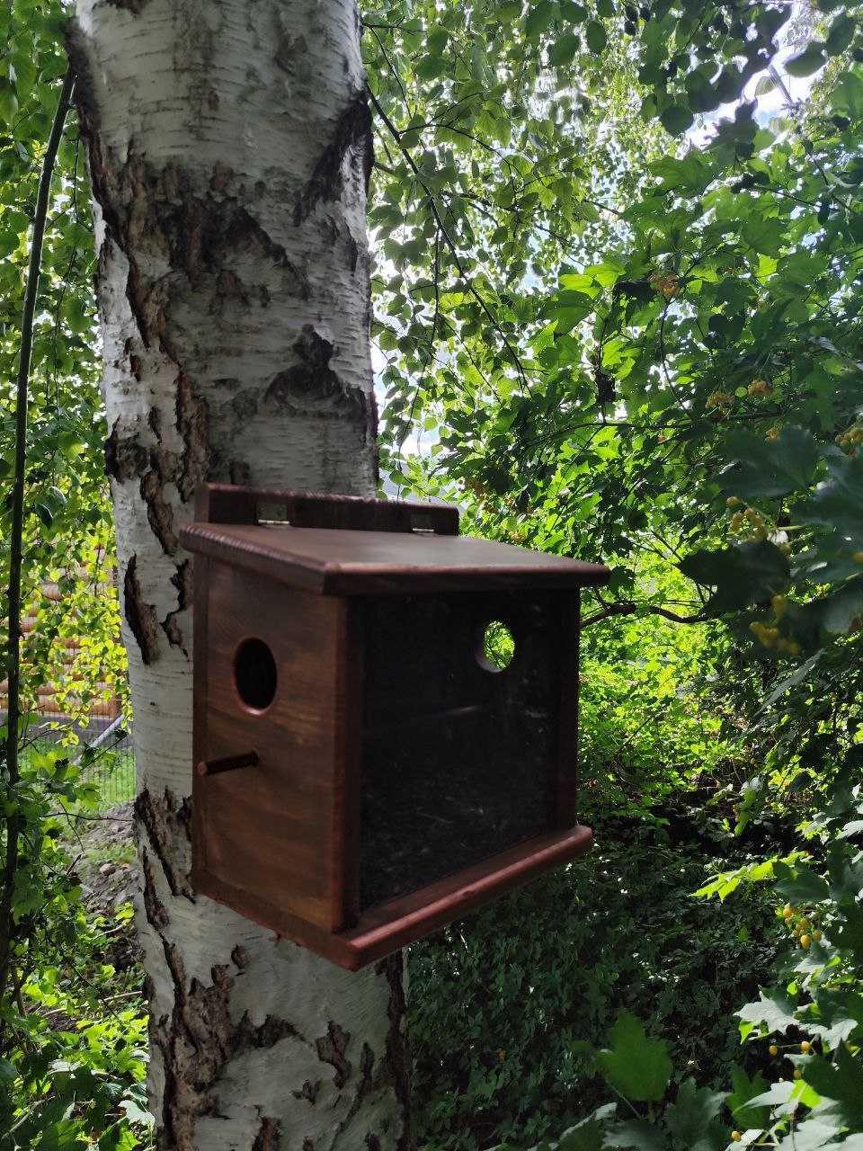 Кормушка для птиц Запутанка бункерного типа из сосновой древесины 30х30х17 см Янтарный - фото 8 Кормушка для птиц Запутанка бункерного типа из сосновой древесины 30х30х17 см Янтарный - фото 8