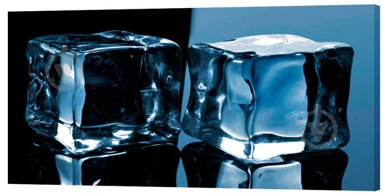 Картина на холсте Декор Карпаты Лед 50х100 см (D924)