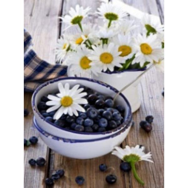 Раскраска по номерам Josef Otten Черника 40х50 см на дереве (8356RSBD-mt) Раскраска по номерам Josef Otten Черника 40х50 см на дереве (8356RSBD-mt)