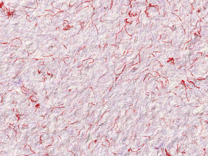 Рідкі шпалери Стиль Тип 160