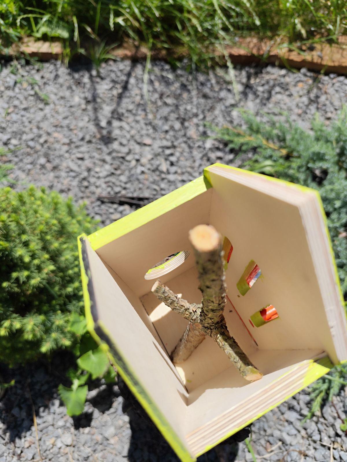 Домик Оазис для бабочек с поилкой Лайм (0002253) - фото 4