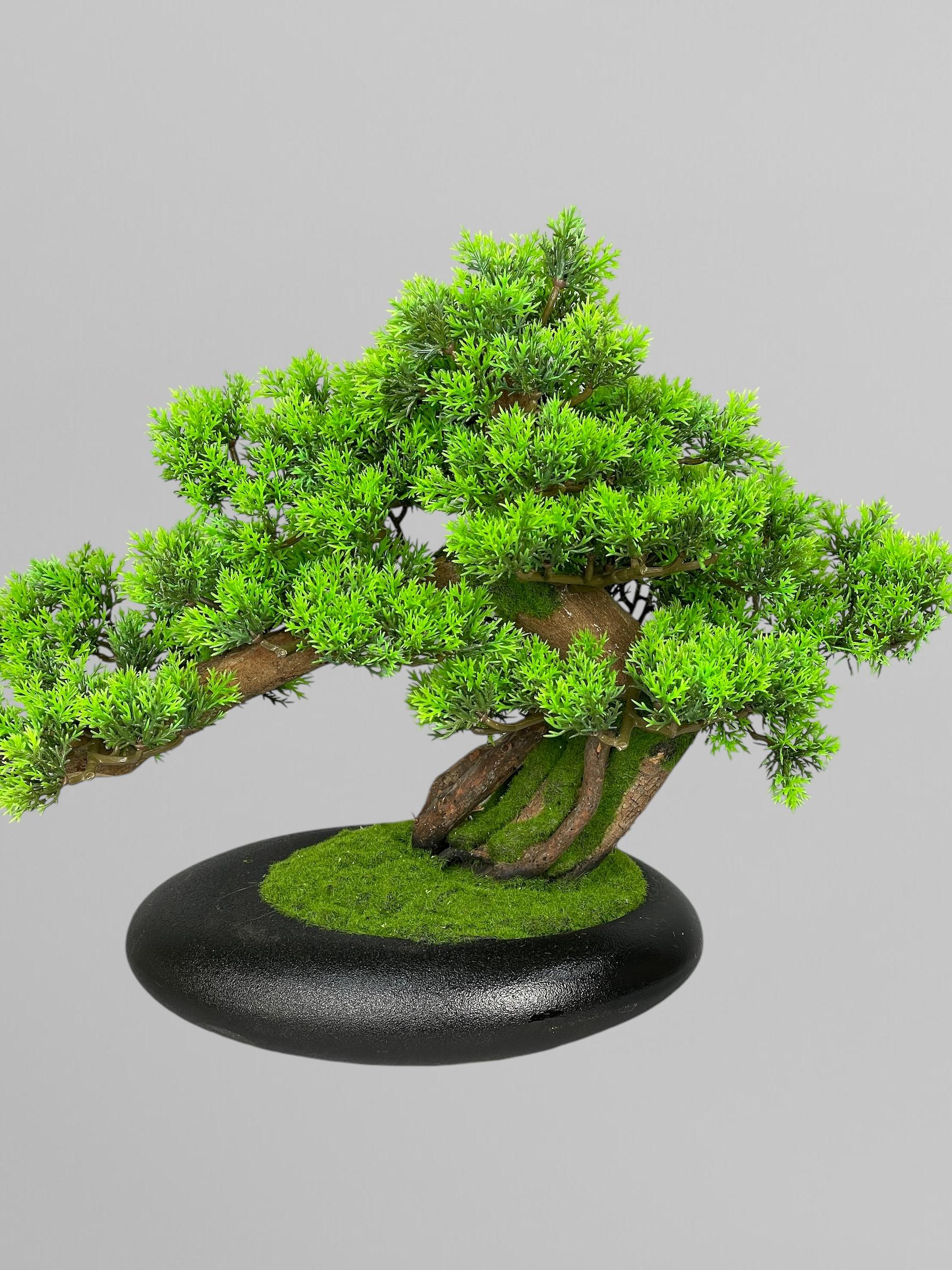 Бонсай 35 см Зеленый (Б005) - фото 2