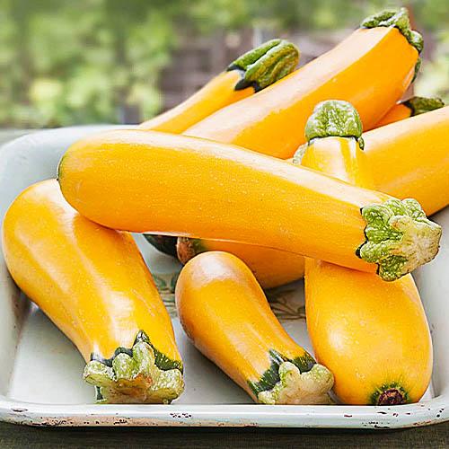 Семена Кабачок Florium Помаранчеве Чудо (14265)