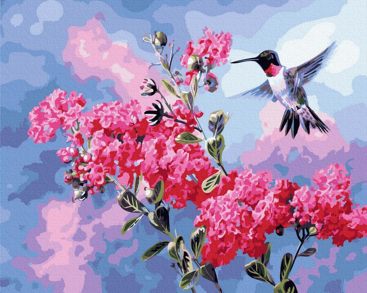 Картина по номерам Brushme GX34869 Колибри в цветении 40x50 см (1418850364)