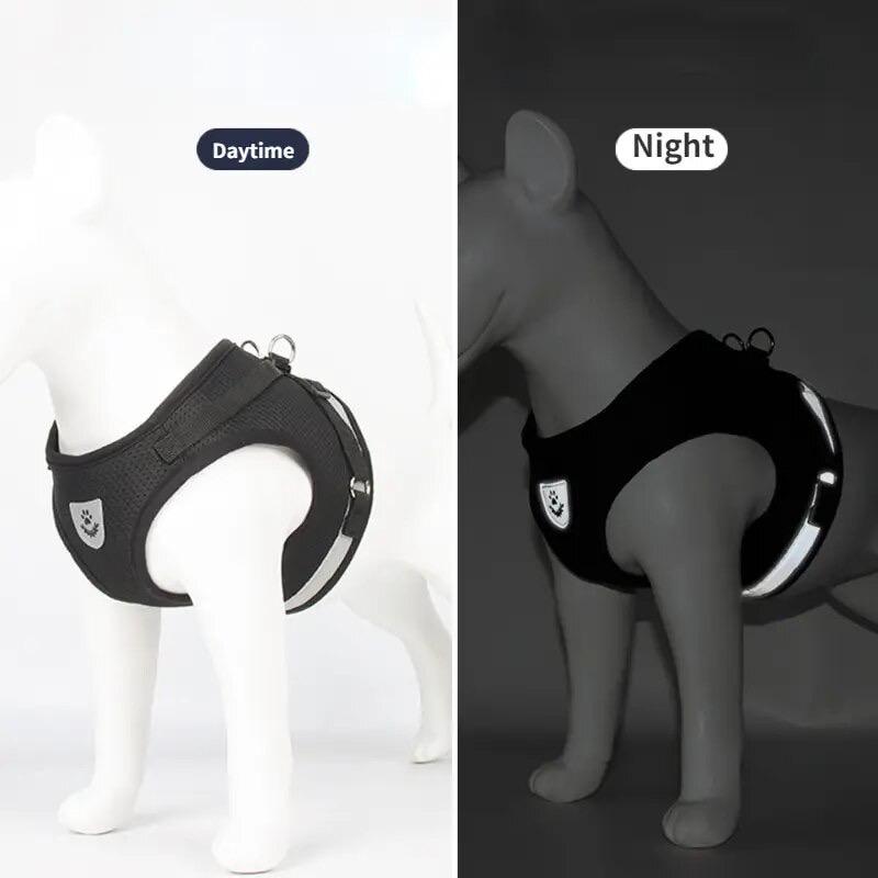 Шлея для собак "ROBBY" Size S - фото 3