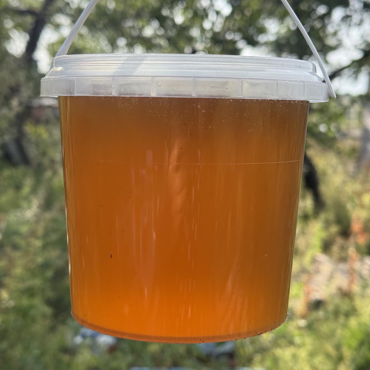 Мед Лесное разнотравье с Липой из кочевой пасеки 2025 г. 1 л/1400 г (2690926181)