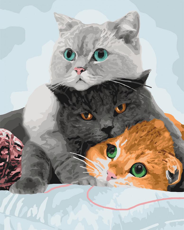 Картина по номерам Ідейка Три кота 40х50 см (KHO4151)