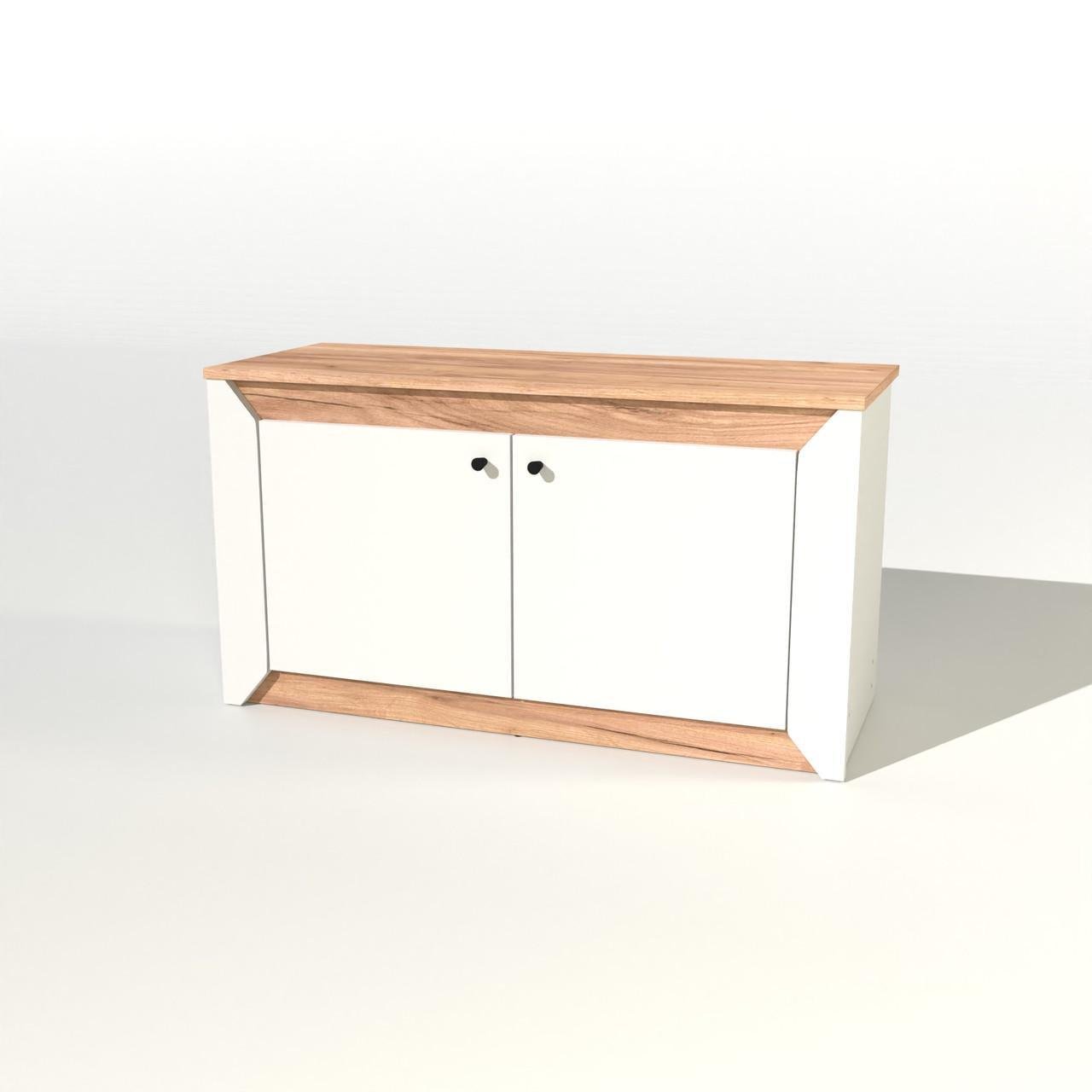 Тумба 2-х дверная закрытая Еверест Нордик-980 98х38х53 см Белый/Дуб крафт золотой (DTM-5525)