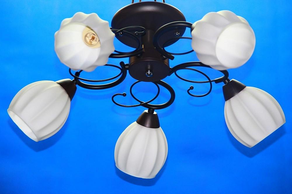 Люстра с плафонами Ray L28008C/5 (IR006137)