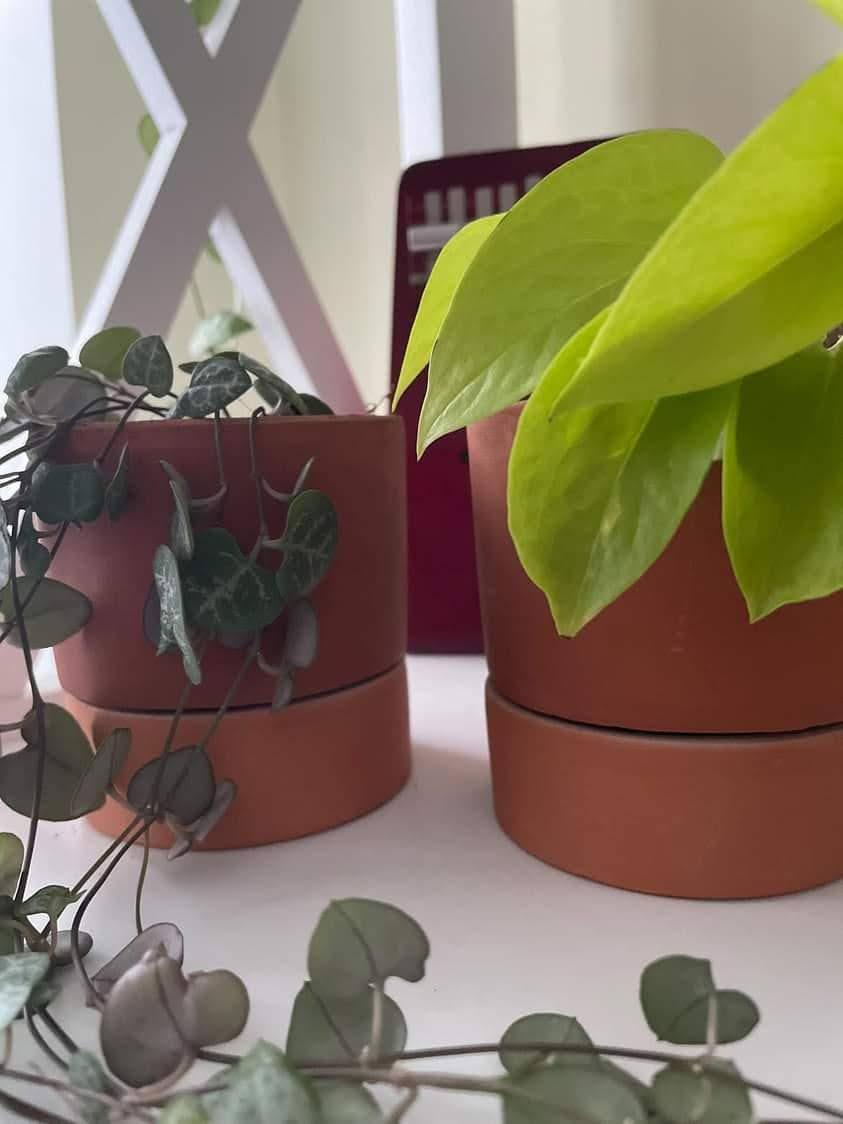 Горшок цветочный керамический глиняный KeramaTato Цилиндр С2 15х15 см 1,5 л Терракотовый - фото 4 Горшок цветочный керамический глиняный KeramaTato Цилиндр С2 15х15 см 1,5 л Терракотовый - фото 4