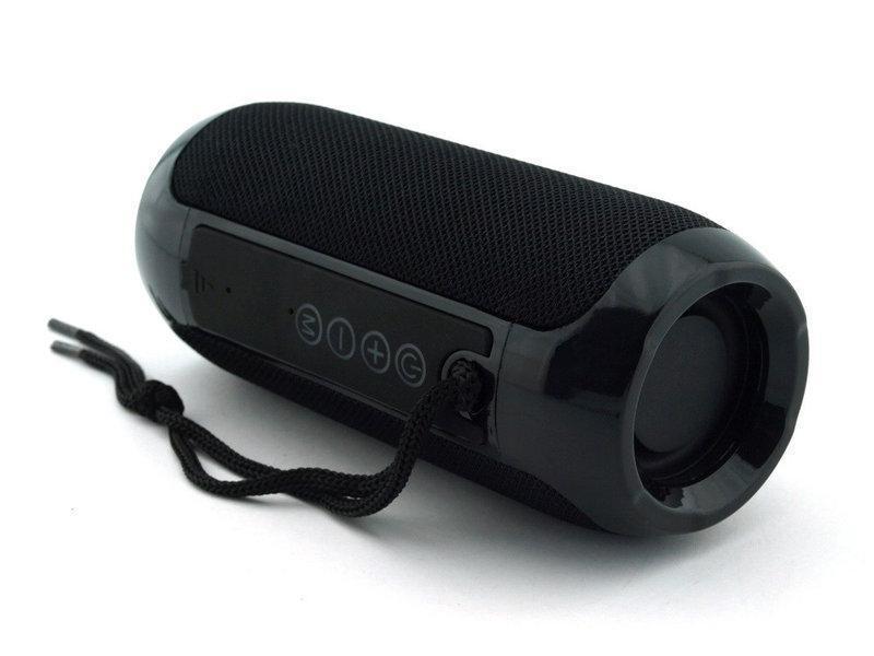 Колонка портативная B.U.M. TG117 10 Вт USB/AUX/FM/Bluetooth Черный (AM-777)