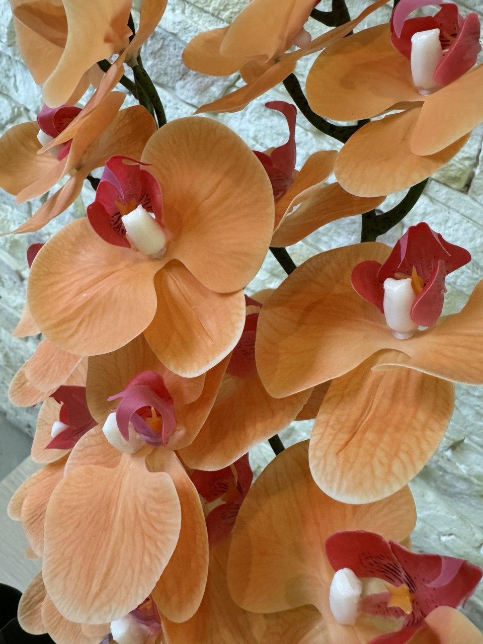 Вазон орхідея ПЛАСТМАКС латексна на дві гілки Помаранчевий (O23) - фото 3