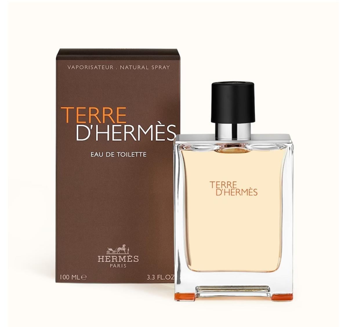 Туалетна вода для чоловіків аромат схожий на Hermes Terre d'Hermes Eau De Toilette 100 мл (3346131400003)