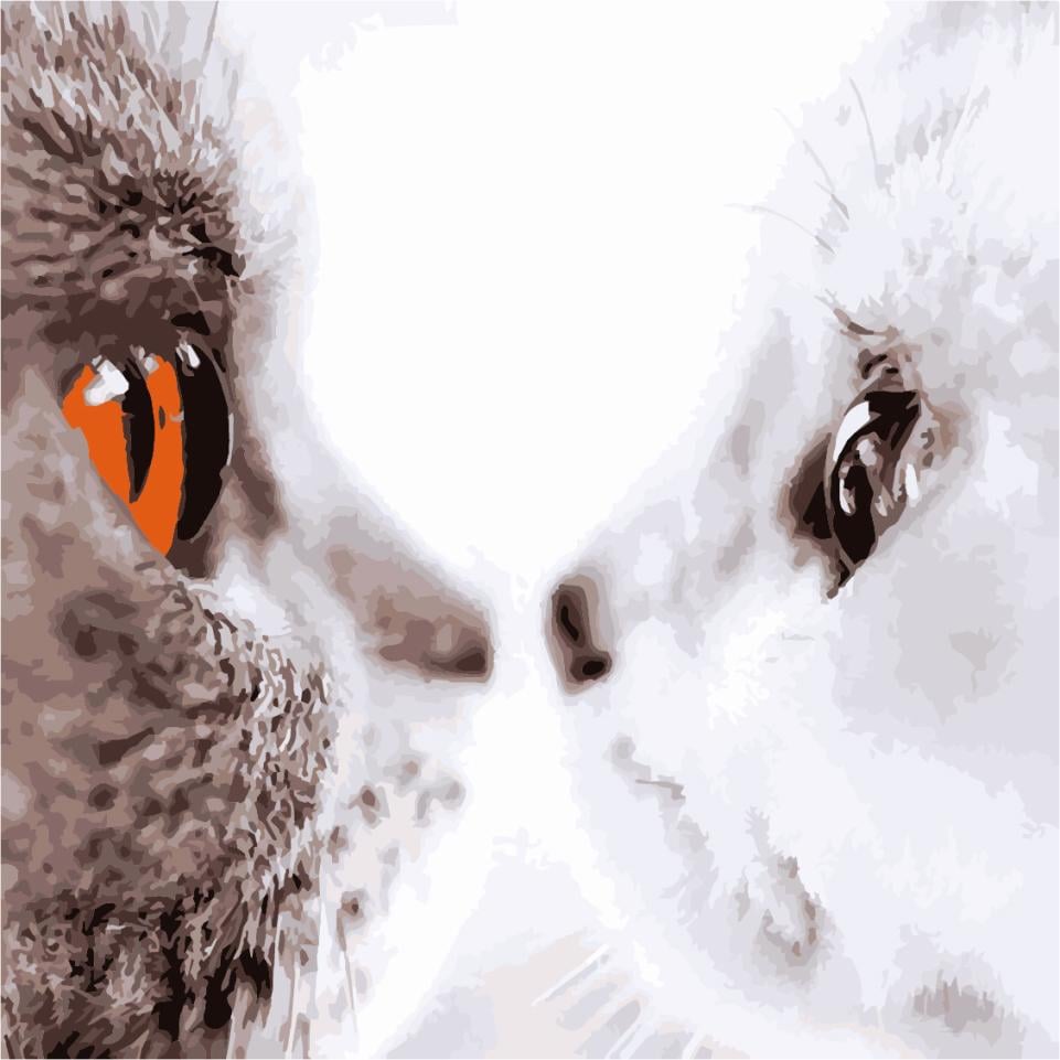 Картина по номерам Art Story Инь и Янь 40x40 см (AS1077)