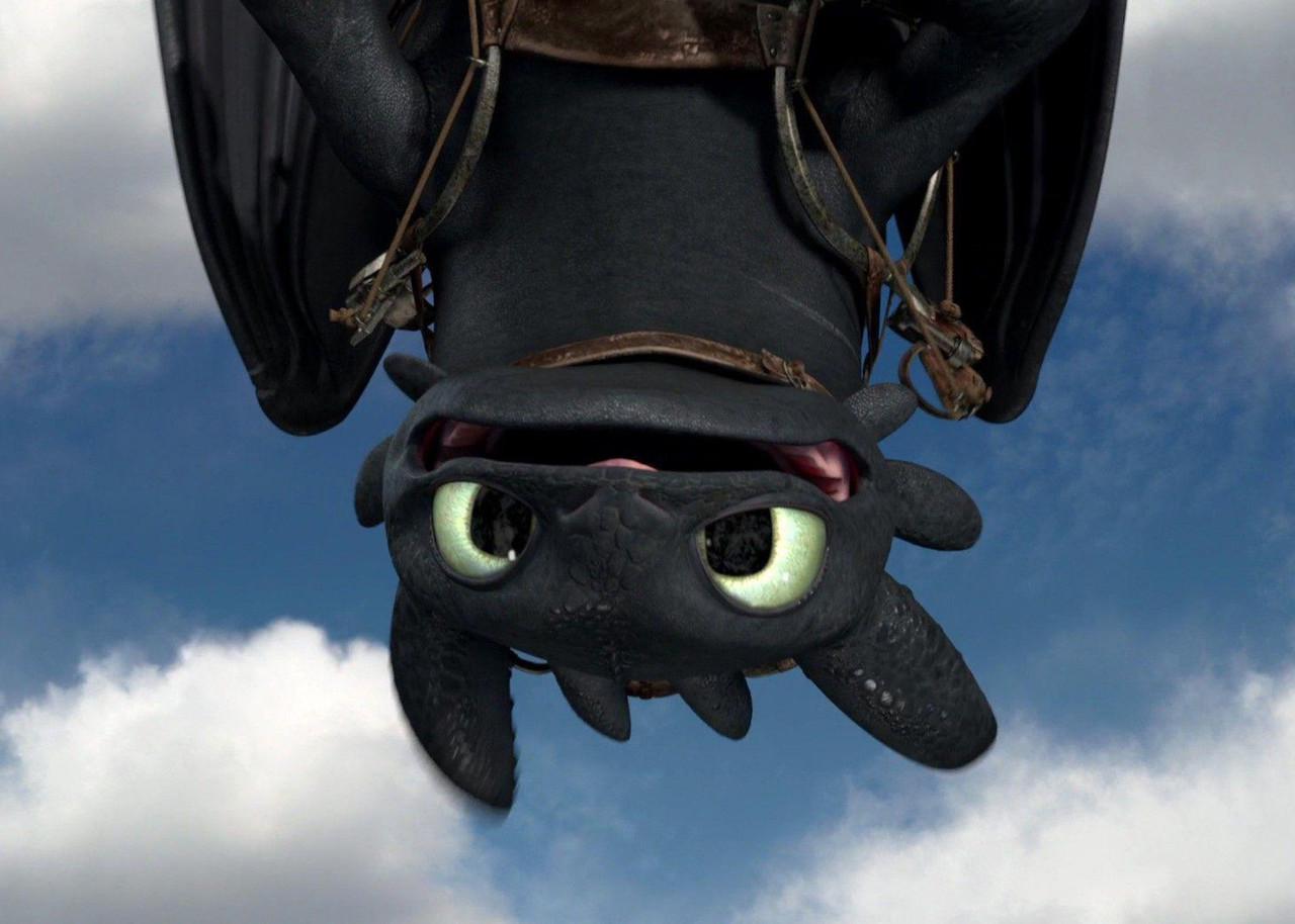 Картина GeekLand How to train your dragon Беззубик (HD.09.032)
