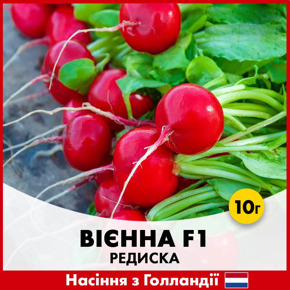 Семена редиса Enza Zaden Виенна F1 10 г (423-10)