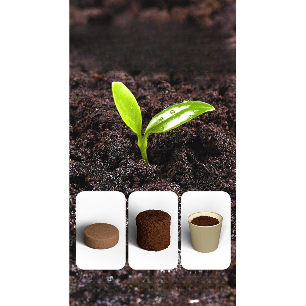 Детский Зеленограй теплица с освещением и самополивом (29075236) - фото 5 Детский Зеленограй теплица с освещением и самополивом (29075236) - фото 5