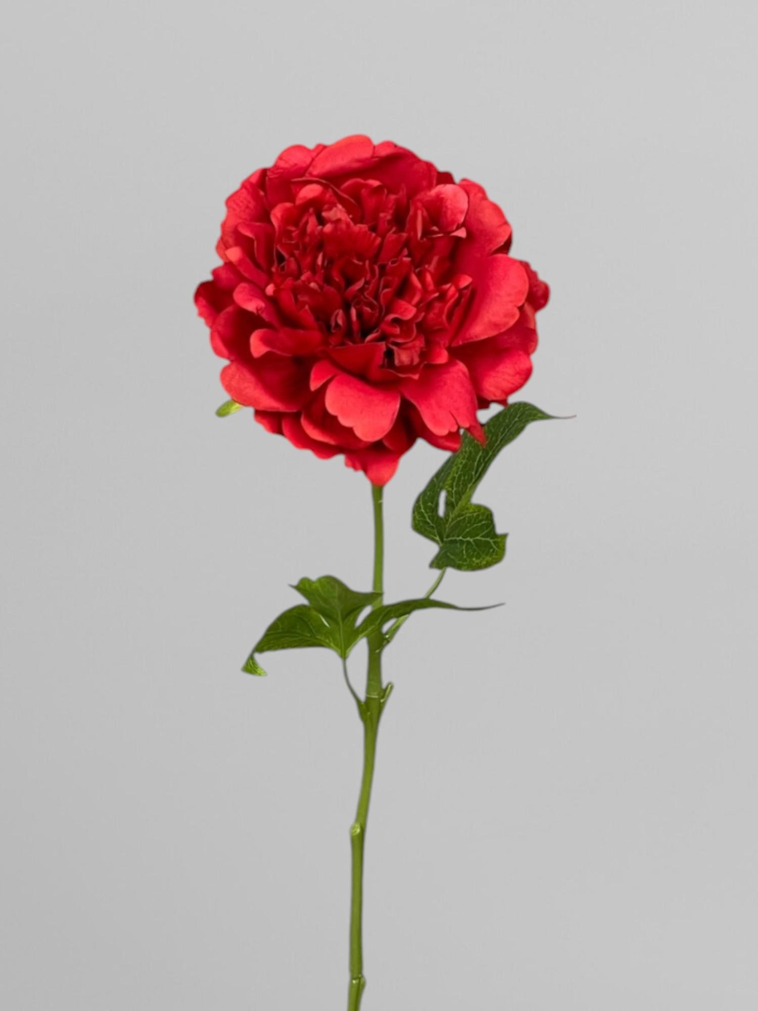 Искусственный цветок пион terry для декора 59 см Красный (К05014)