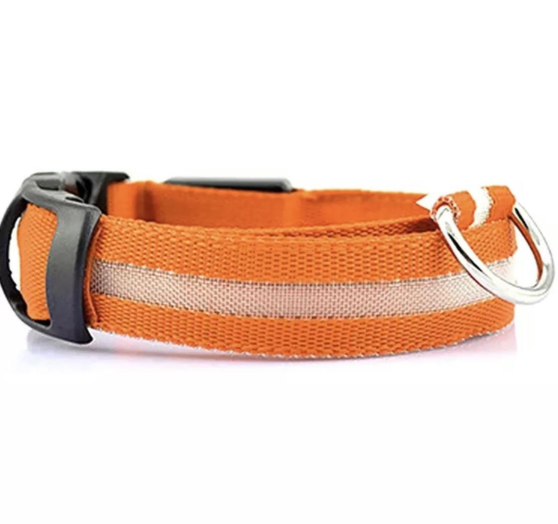 Нашийник LED світиться для собак і кішок S шия 34-41 см 2,5х44 см Orange (22342)