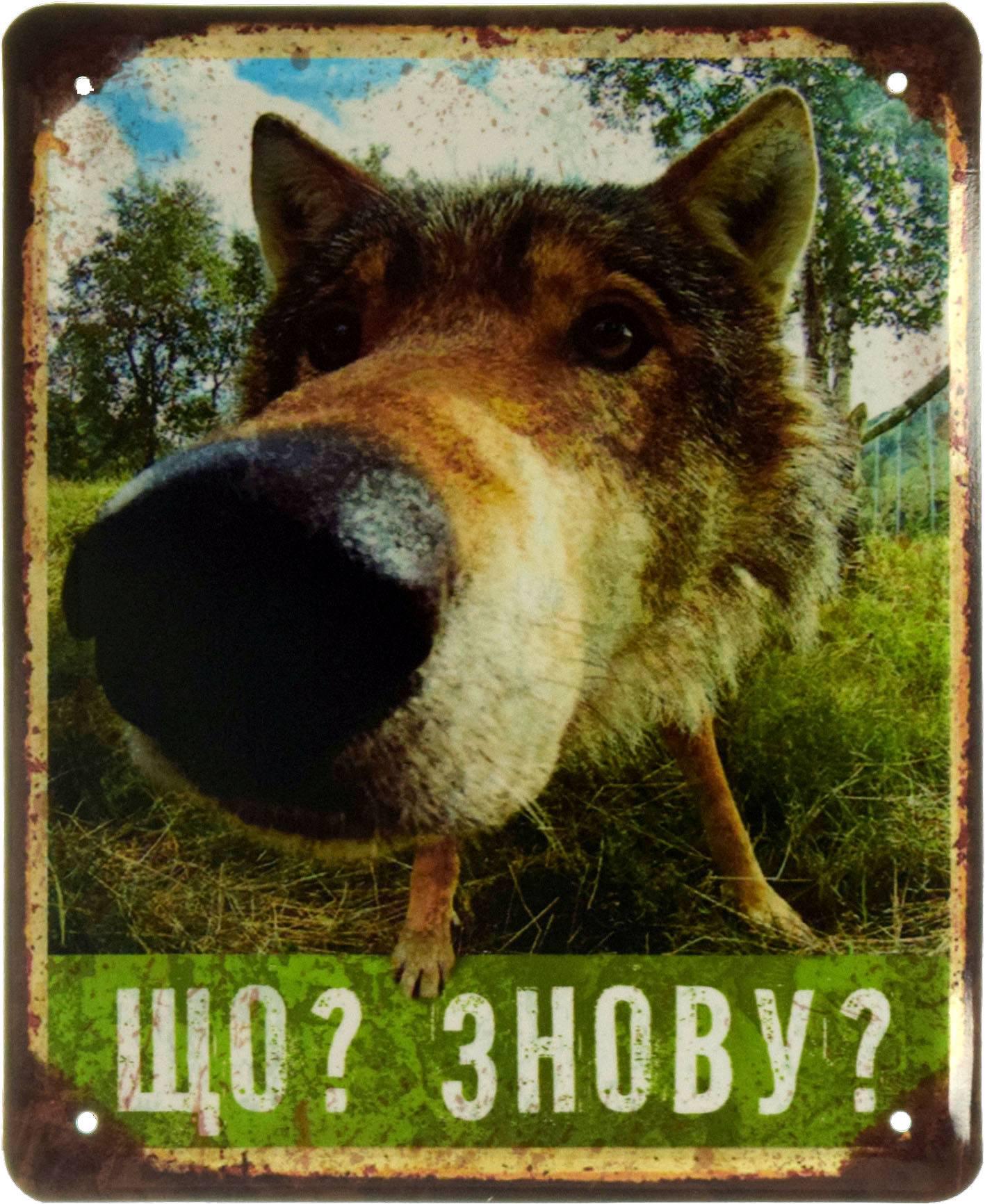 Табличка металлическая Що? Знову? 18x22 см