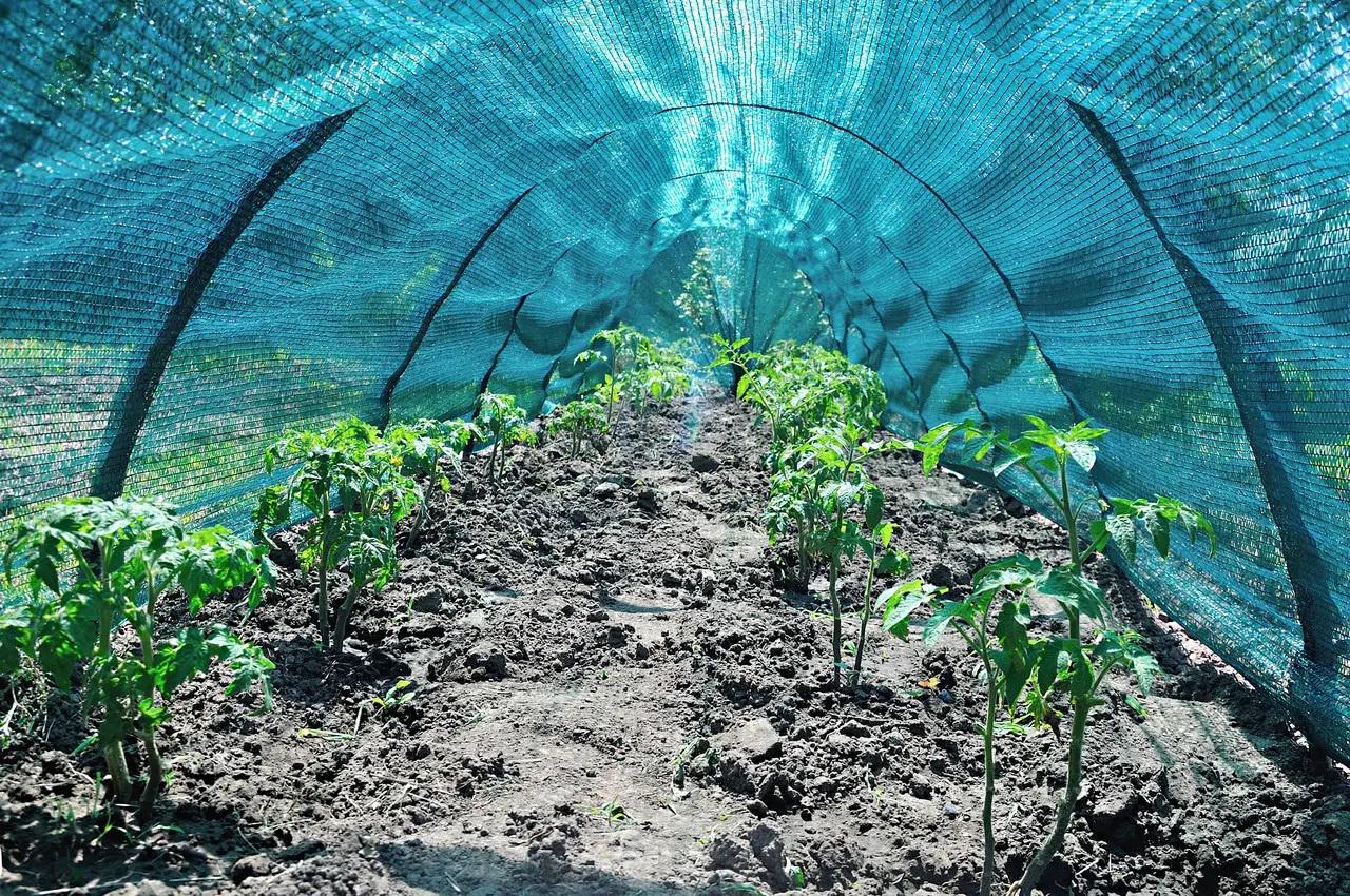 Сітка сонцезахисна для теплиці городу 2,8 м - фото 12 Сітка сонцезахисна для теплиці городу 2,8 м - фото 12