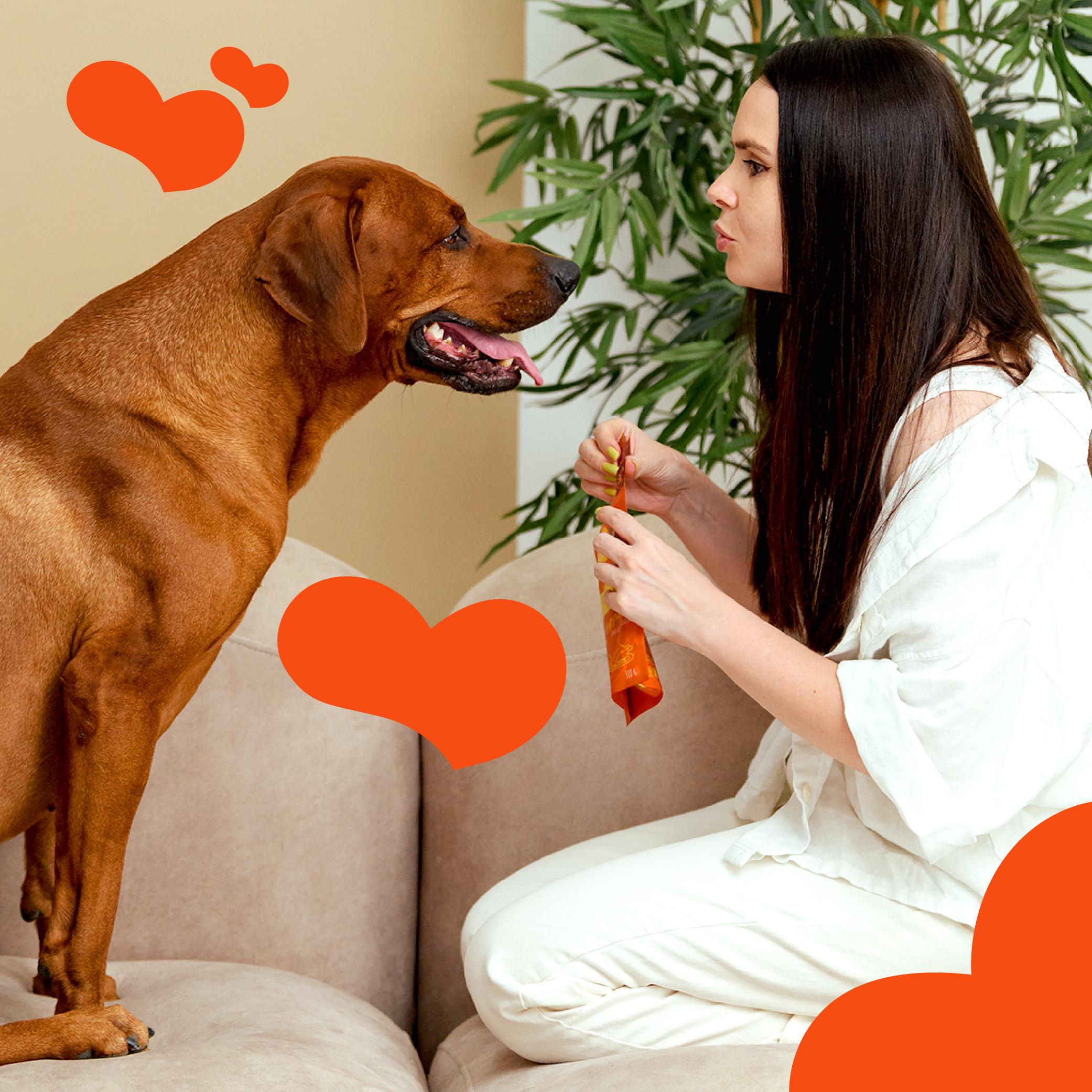 Ласощі для собак MAVSY Soft Duck Slice for dogs Качка по-пекінські 100 г (13501976) - фото 7 Ласощі для собак MAVSY Soft Duck Slice for dogs Качка по-пекінські 100 г (13501976) - фото 7