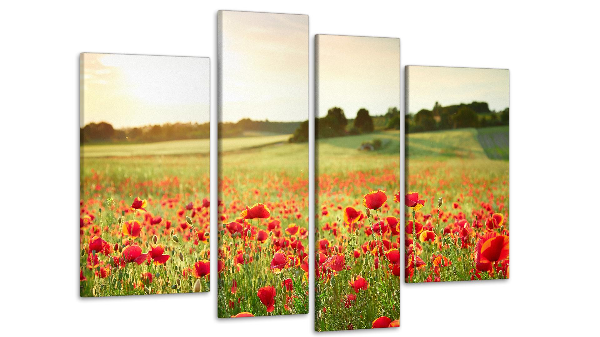 Картина модульная Поле маков 75х118 см (Art-136_4)