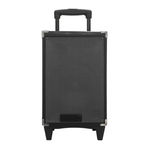 Колонка с радиомикрофоном Temeisheng A8-2T переносная