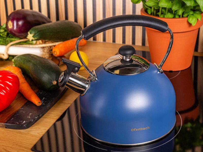 Чайник Ofenbach нержавіюча сталь зі свистком 2,2 л Синій матовий (NB-100327) - фото 4 Чайник Ofenbach нержавіюча сталь зі свистком 2,2 л Синій матовий (NB-100327) - фото 4