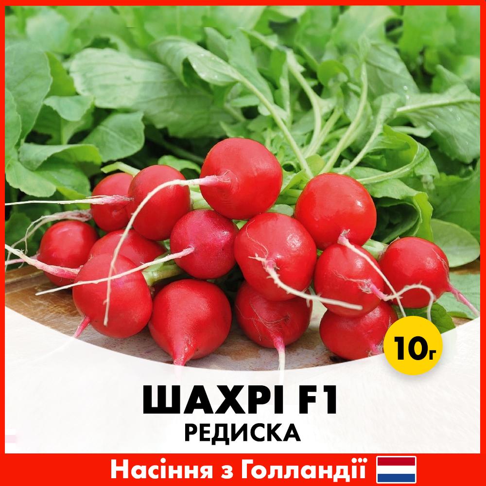 Насіння редисуки Hazera Шахрі F1 10 г (R29036)